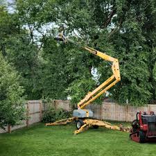 Best Residential Tree Removal  in Diamond, IL